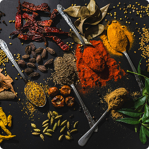 anju-ravindranath-Nihdo084Yos-unsplash
